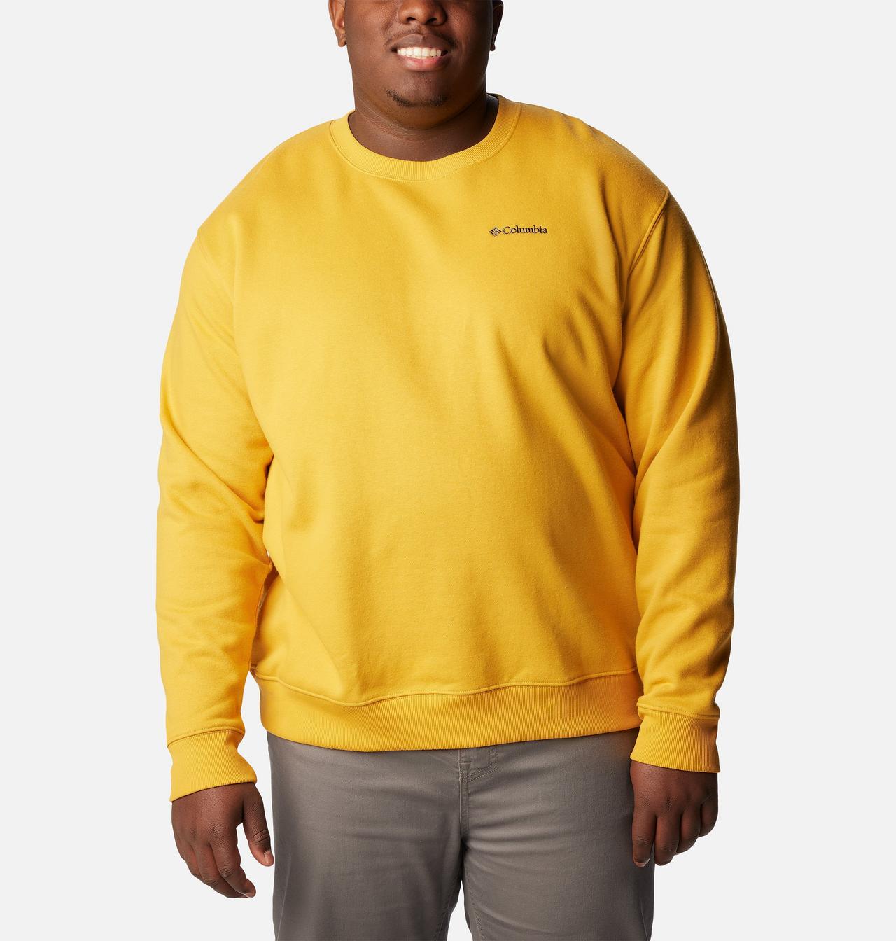 { "modelCode": "1591", "variantUPC": "195979195601" } 1