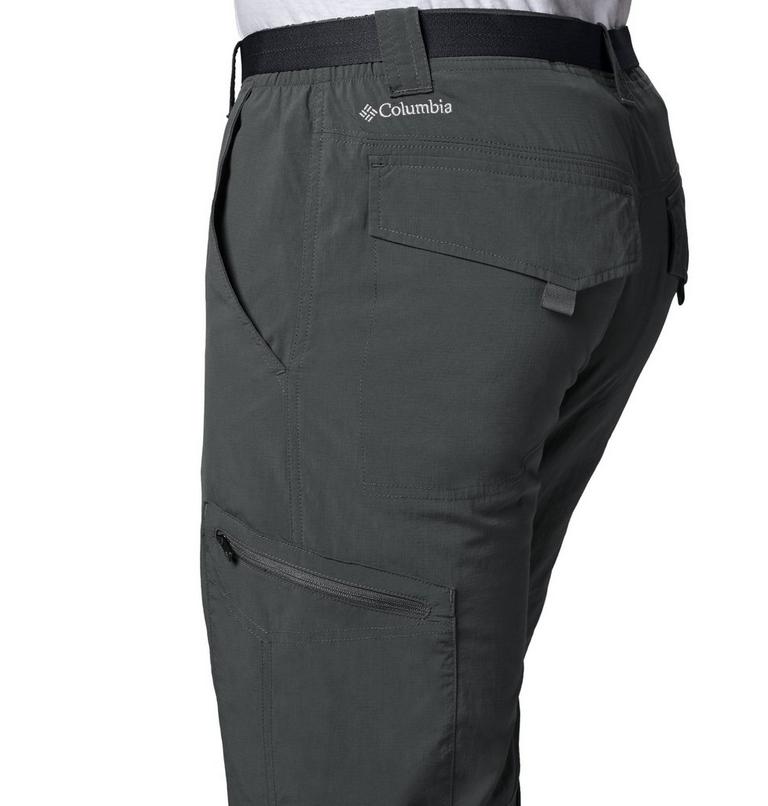 Silver Ridge Cargo Pant | 028 | 34, Color: Grill, image 3