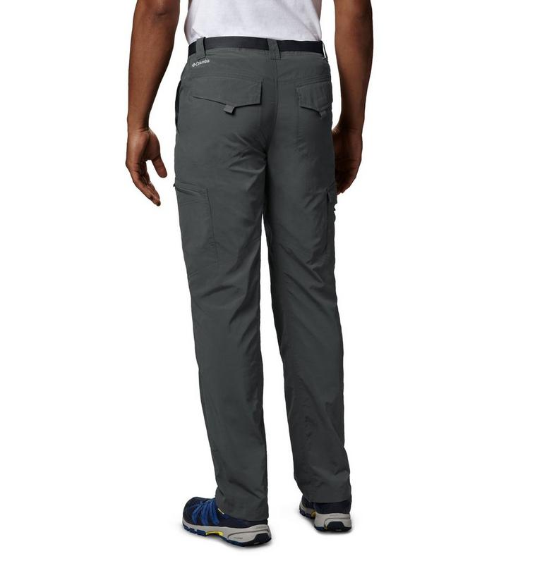 Silver Ridge Cargo Pant | 028 | 34, Color: Grill, image 2