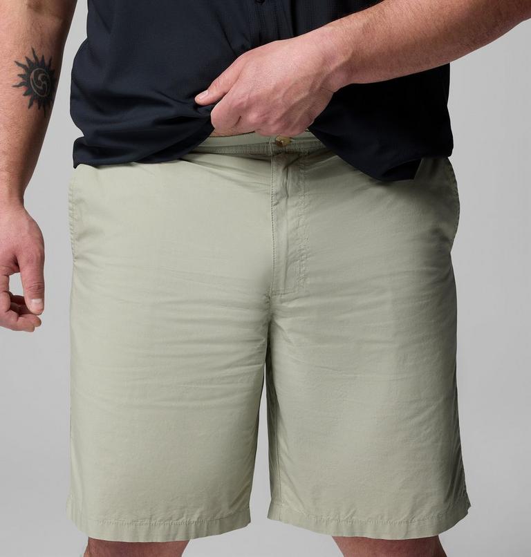 Washed Out Short, Color: Safari, image 5