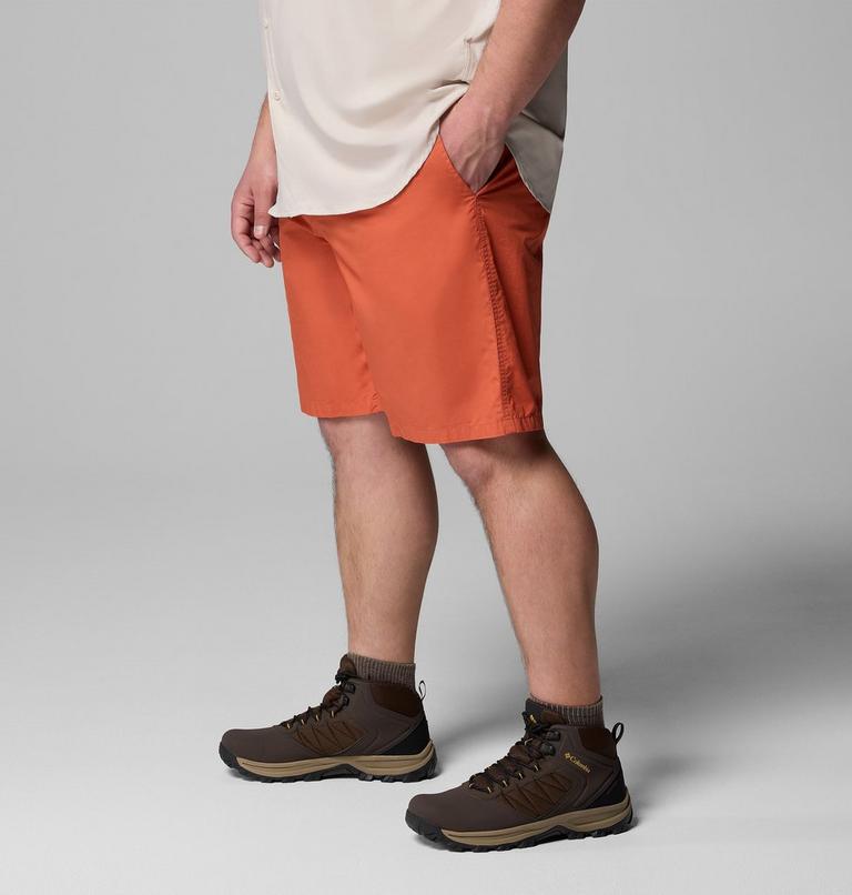Washed Out Short, Color: Tuscan, image 4