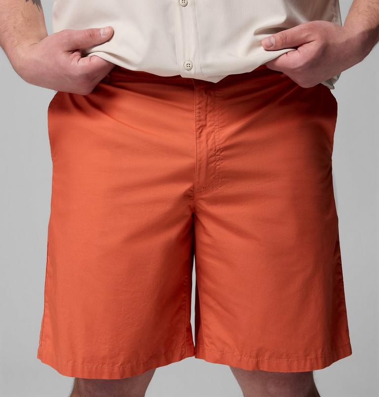 Washed Out Short, Color: Tuscan, image 5
