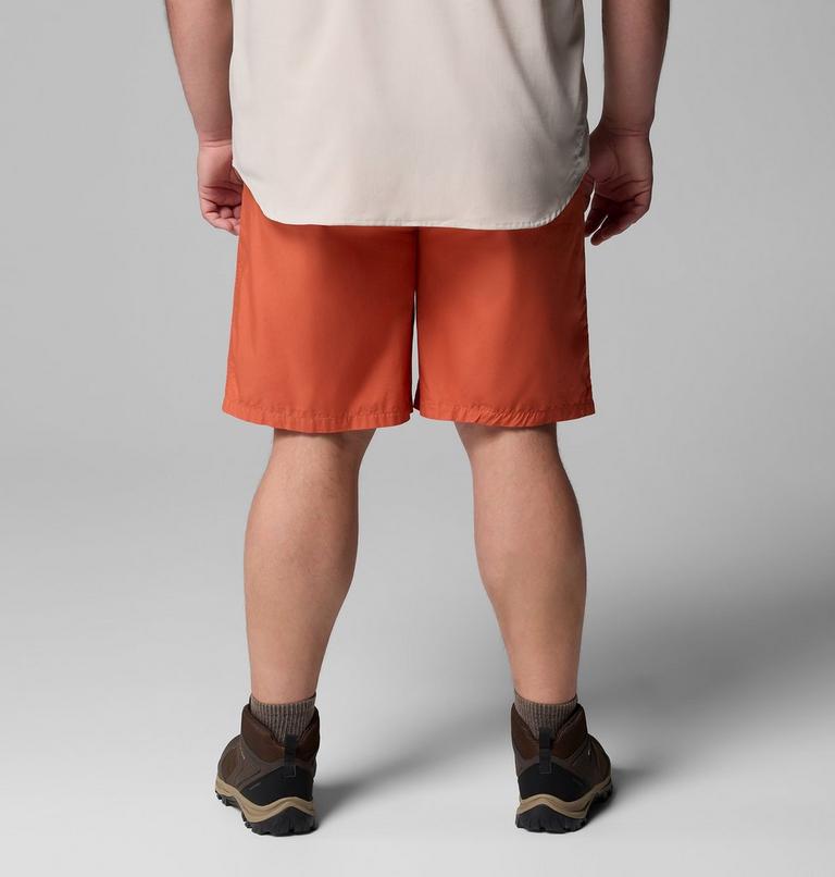 Washed Out Short, Color: Tuscan, image 3