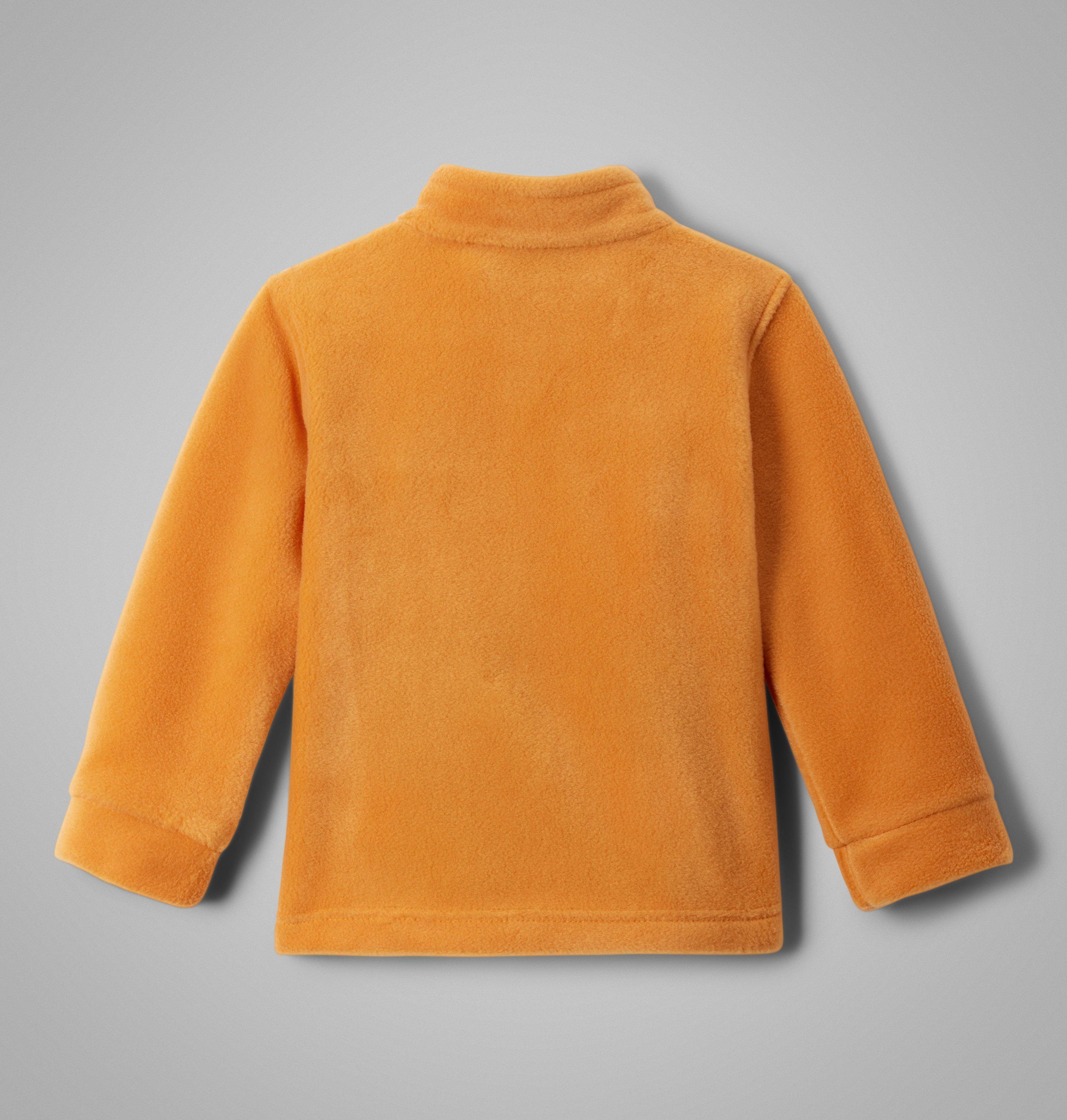 Boys' Toddler Steens Mountain II Fleece Jacket 2