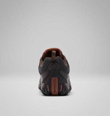 Men's Woodburn II Waterproof Shoe, Color: Cordovan, Cinnamon, image 2