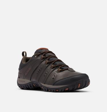 Men's Woodburn II Waterproof Shoe, Color: Cordovan, Cinnamon, image 2