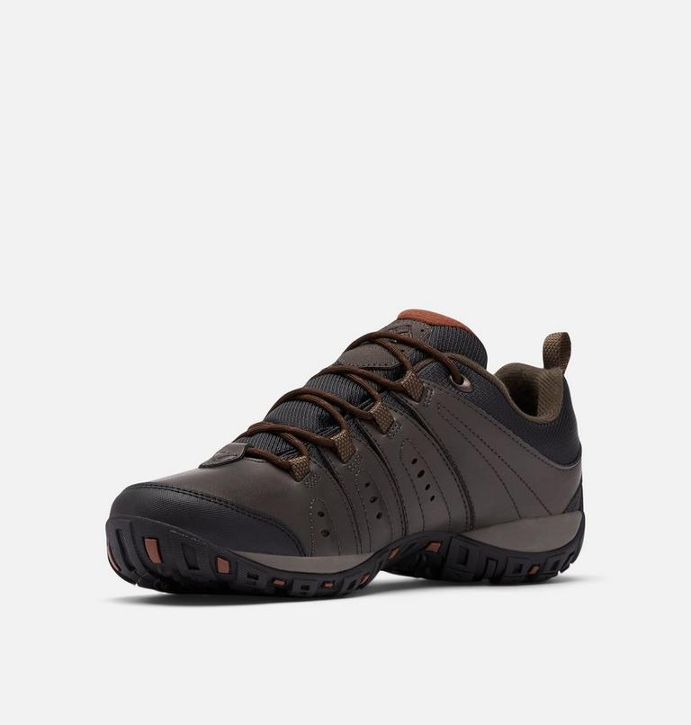 Men's Woodburn II Waterproof Shoe, Color: Cordovan, Cinnamon, image 6