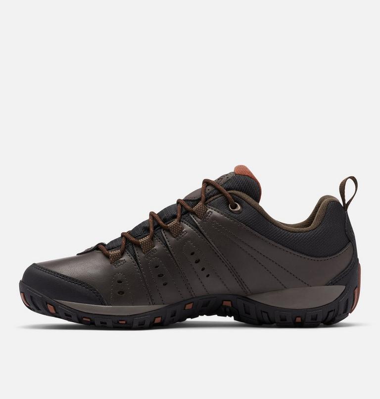 Men's Woodburn II Waterproof Shoe, Color: Cordovan, Cinnamon, image 5