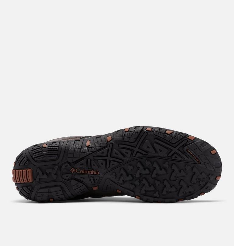 Men's Woodburn II Waterproof Shoe, Color: Cordovan, Cinnamon, image 4