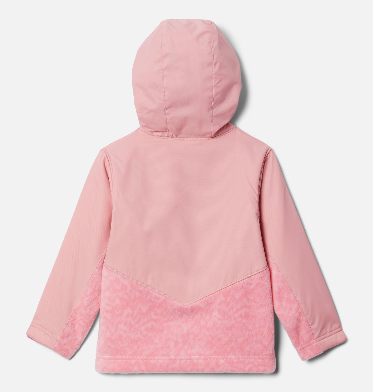 Toddler Steens Mt™ Overlay Hoodie 2