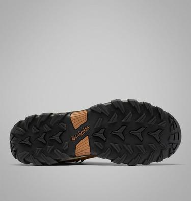 Men's Newton Ridge Plus II Waterproof Hiking Boots, Color: Elk, Black, image 4