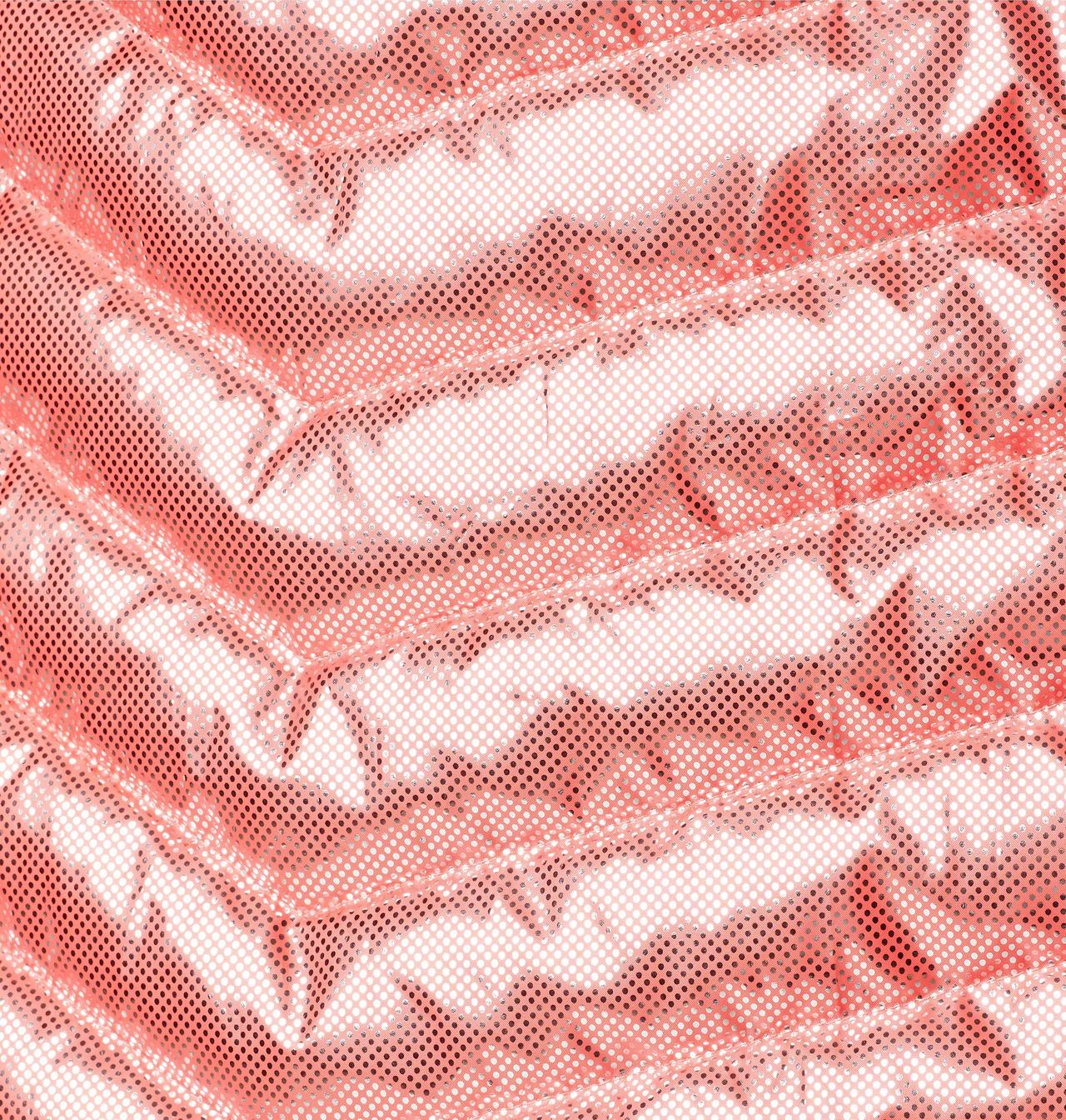 Women's Powder Lite™ Hooded Jacket 6