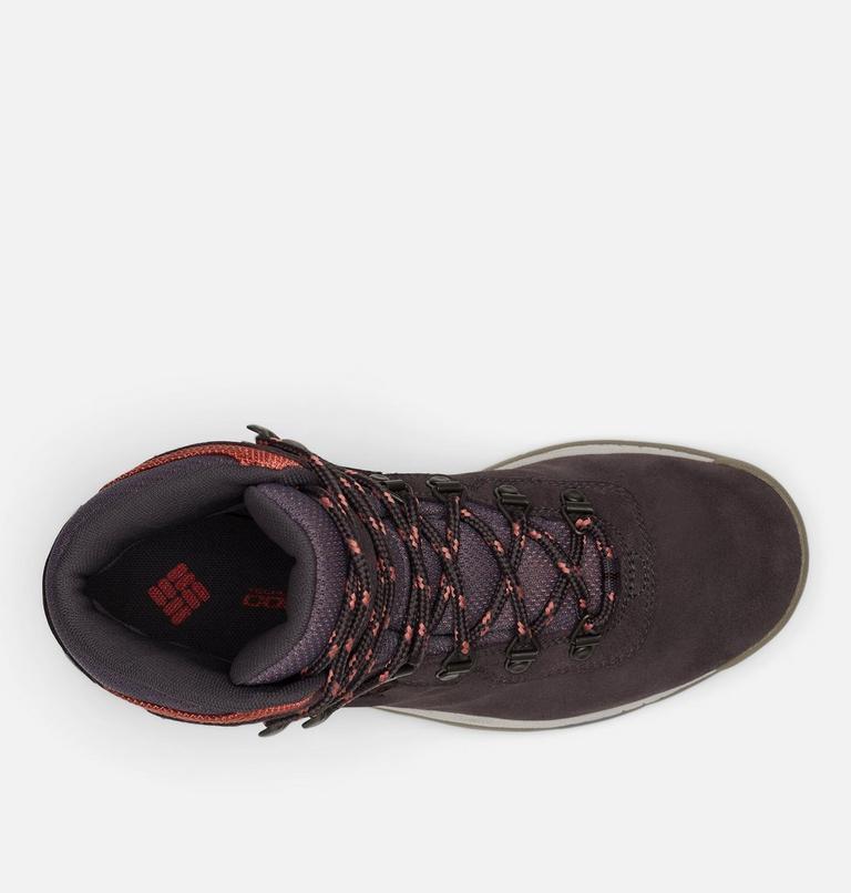 Women's Newton Ridge Plus Waterproof Amped Hiking Boot, image 3