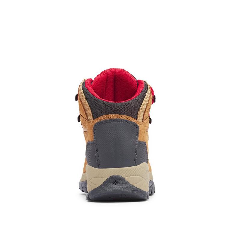 Women's Newton Ridge Plus Waterproof Amped Hiking Boot, Color: Elk, Mountain Red, image 2