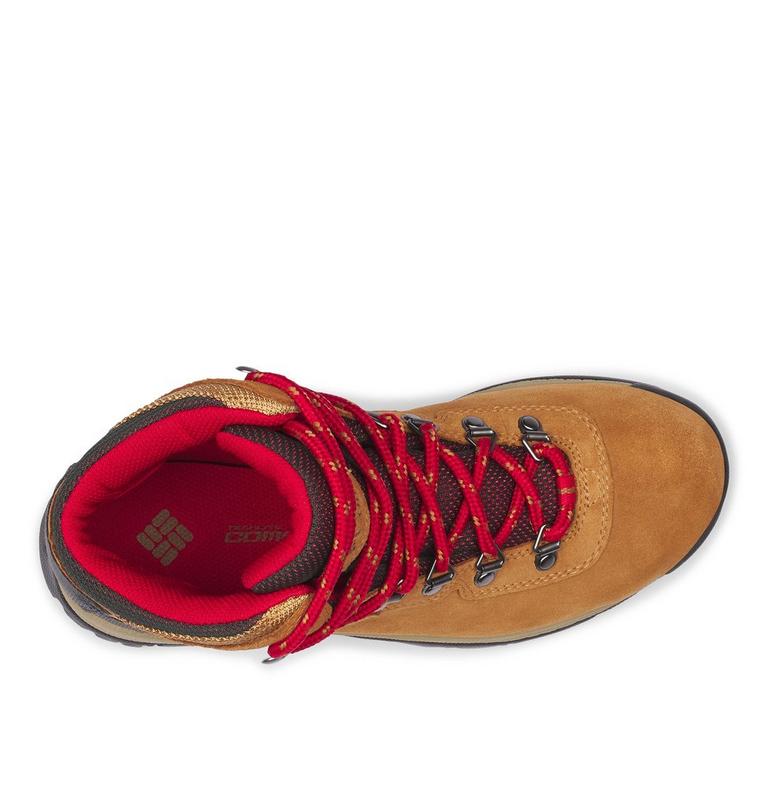 Women's Newton Ridge Plus Waterproof Amped Hiking Boot, Color: Elk, Mountain Red, image 4