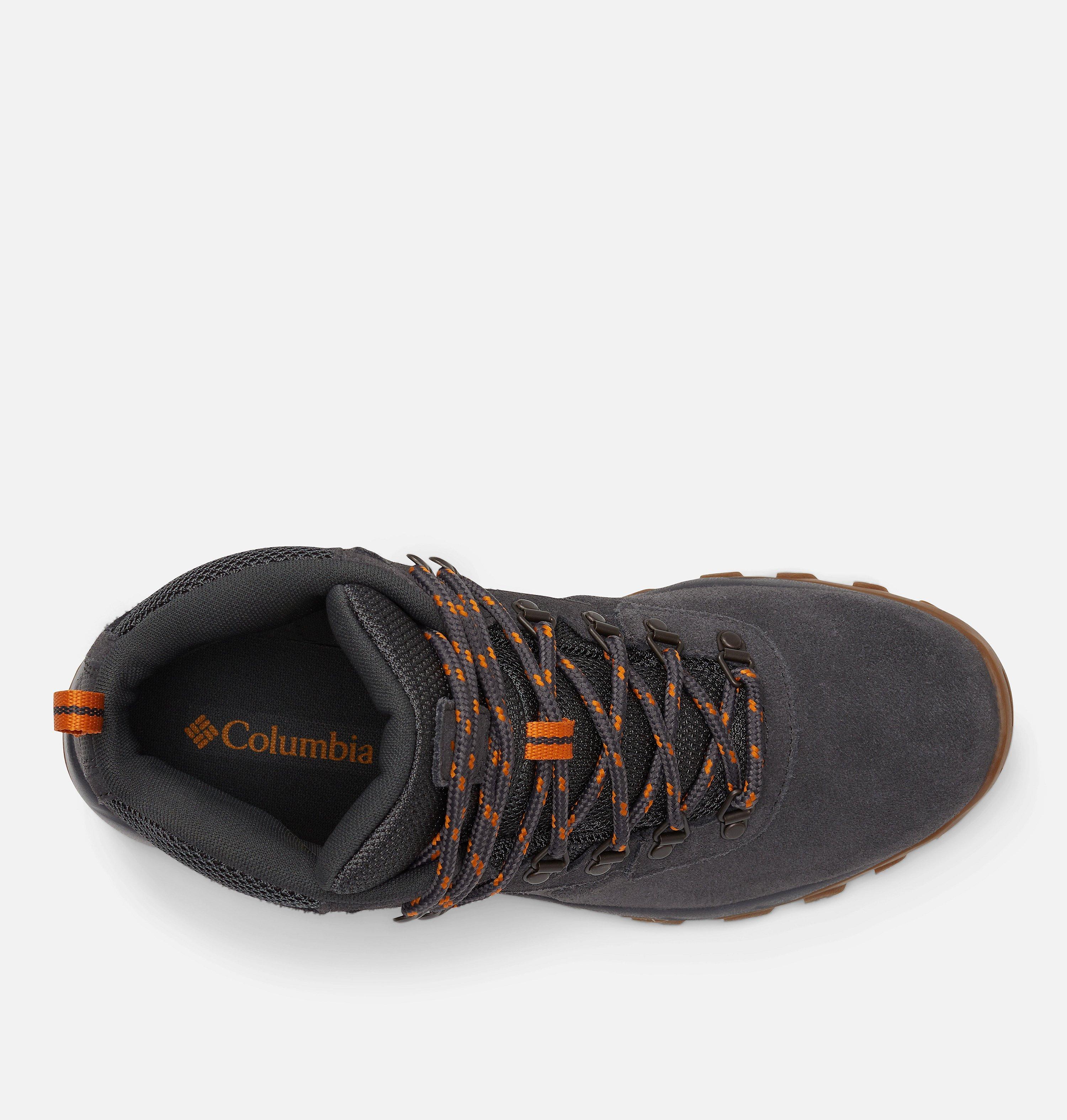 Men's Newton Ridge Plus II Suede Waterproof Hiking Boot 3