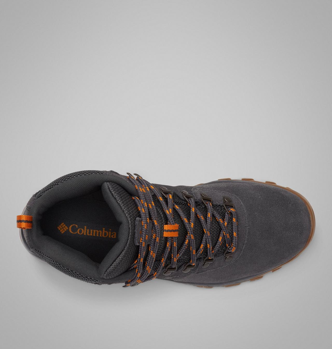 Men's Newton Ridge™ Plus II Suede Waterproof Hiking Boot