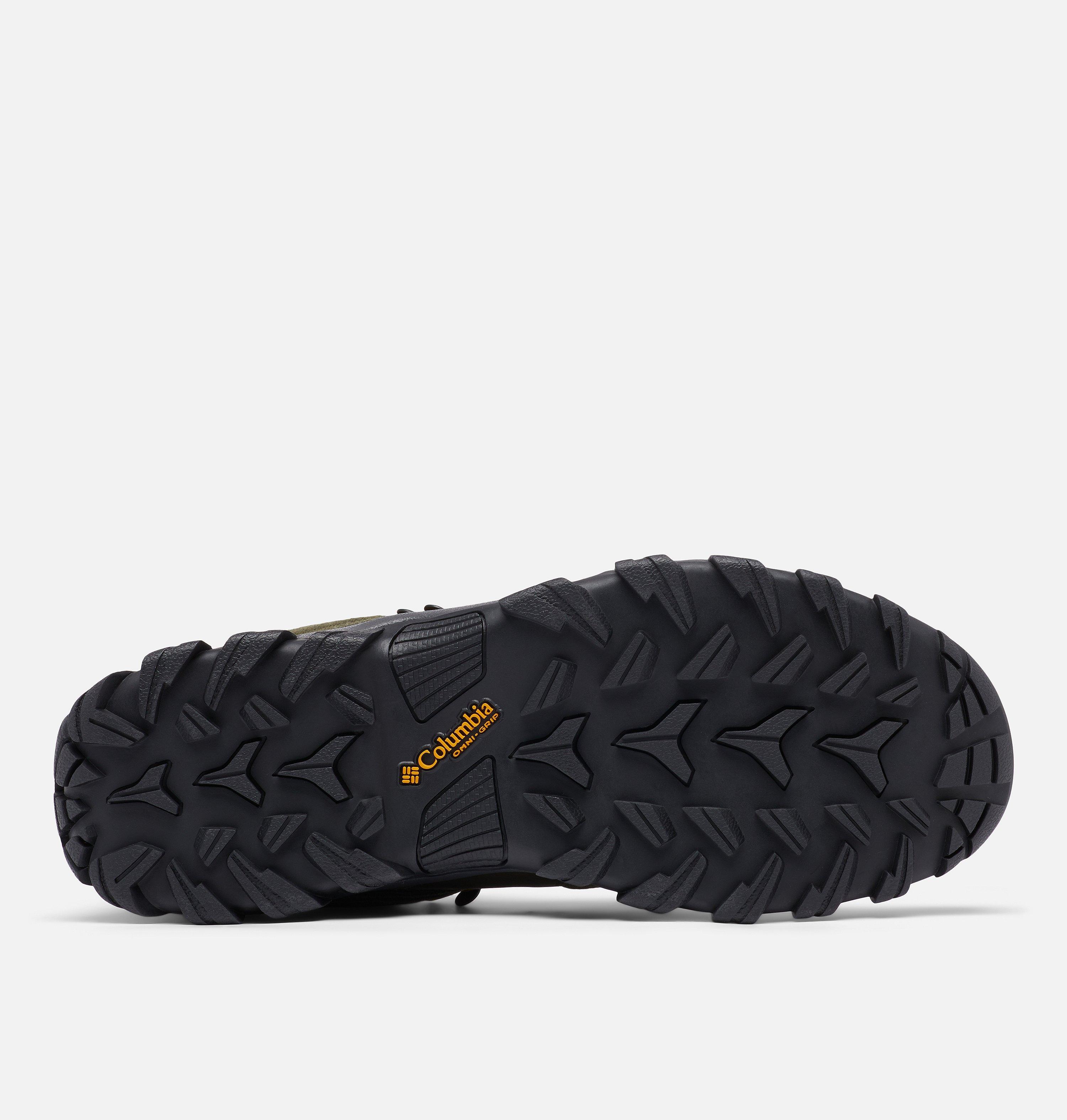 Men's Newton Ridge Plus II Suede Waterproof Hiking Boot 5