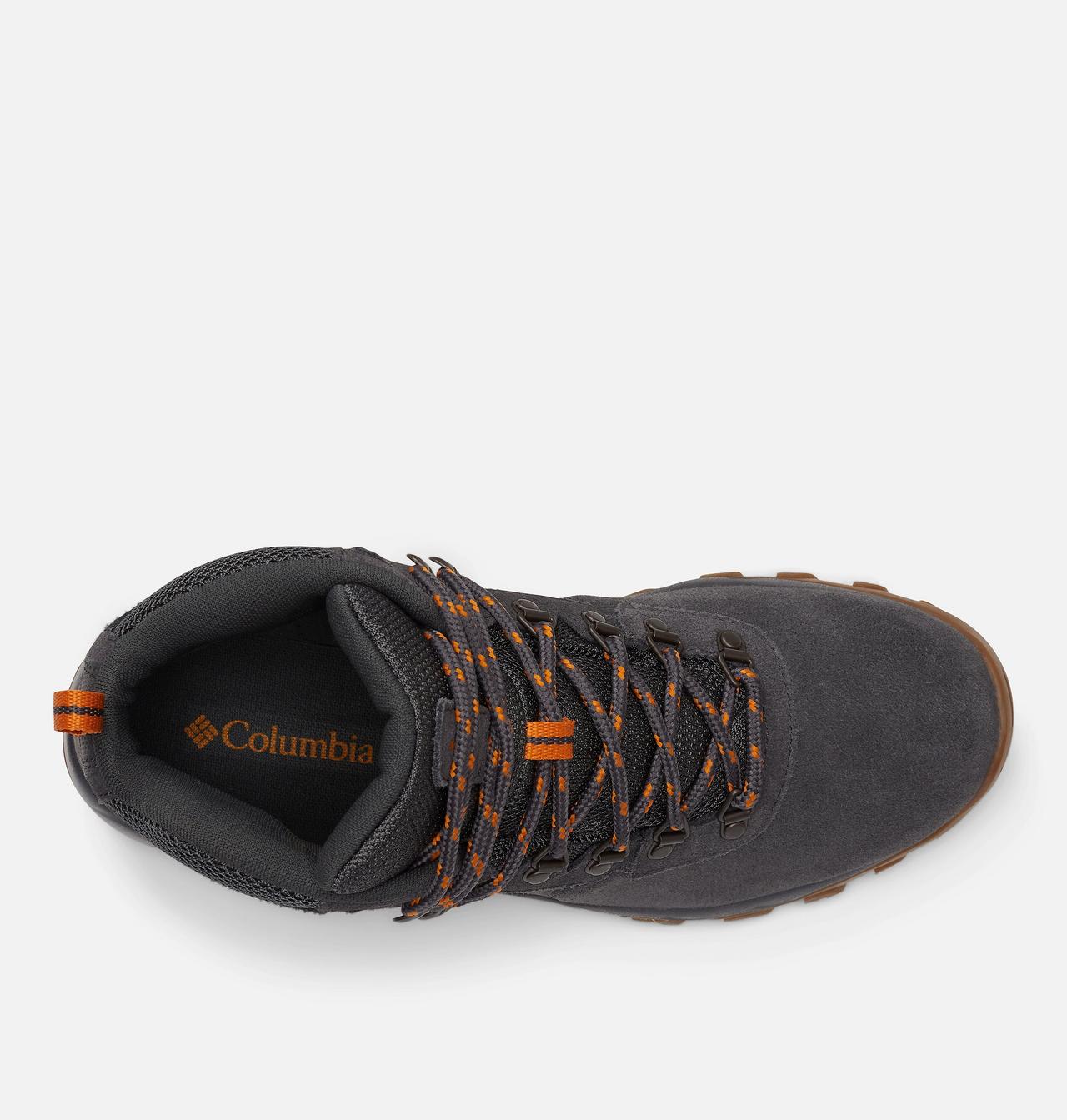 Men's Newton Ridge™ Plus II Suede Waterproof Hiking Boot - Wide 4