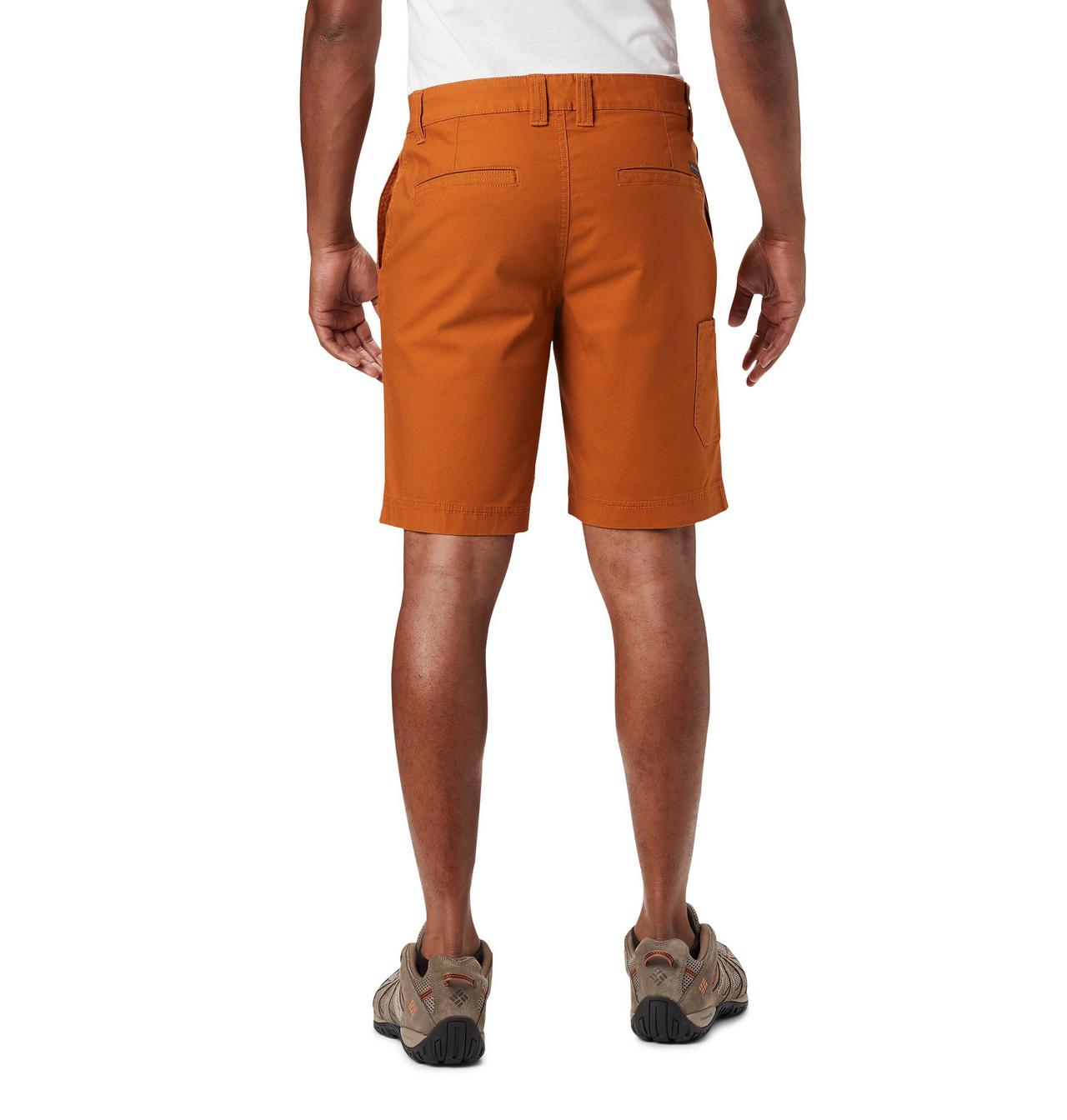 Men's Flex Shorts 2