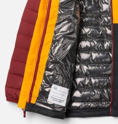 Powder Lite Boys Hooded Jacket, Color: Shark, Flame Orange, Red Jasper, image 3