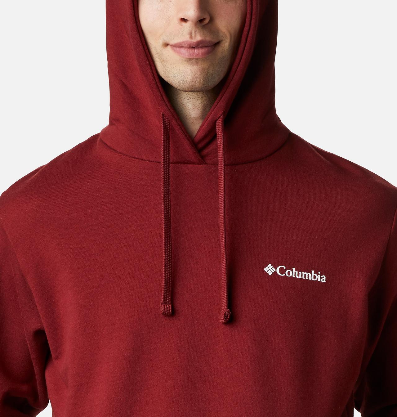 Men's Viewmont™ II Sleeve Graphic Hoodie 4