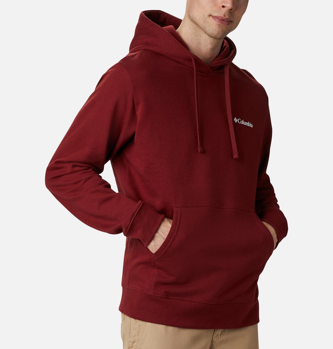 Men's Viewmont™ II Sleeve Graphic Hoodie 5
