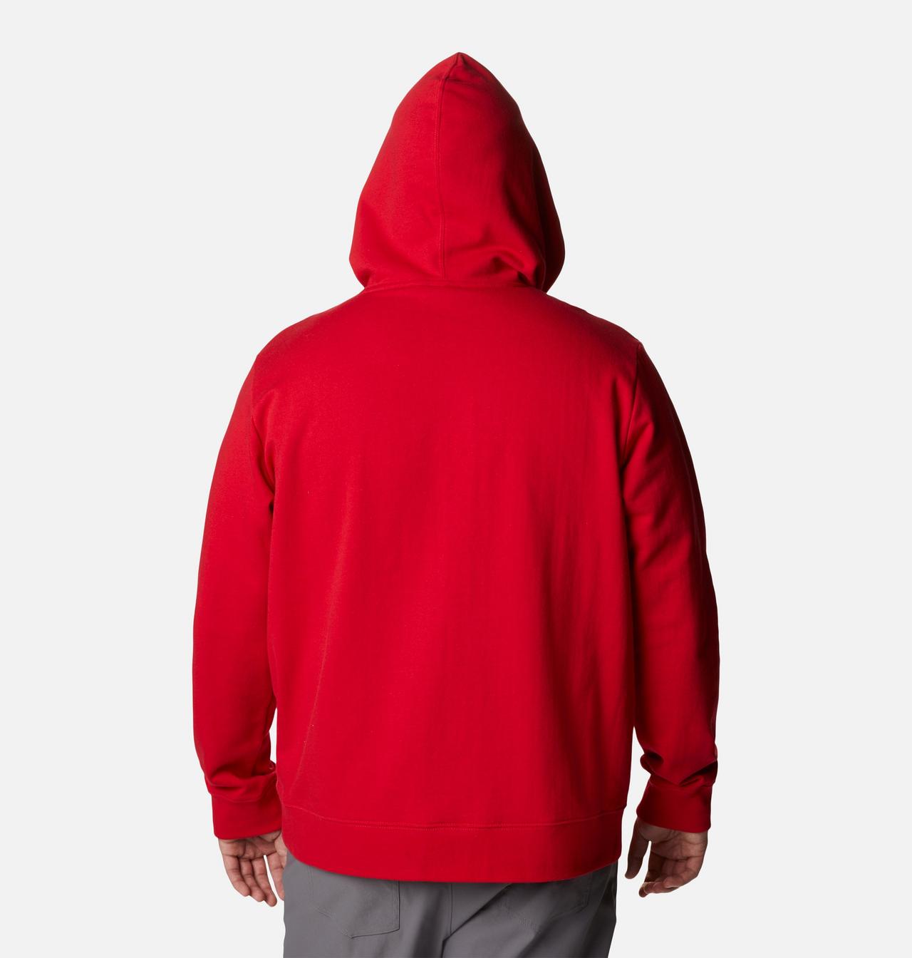 Men's Viewmont™ II Sleeve Graphic Hoodie - Big 2