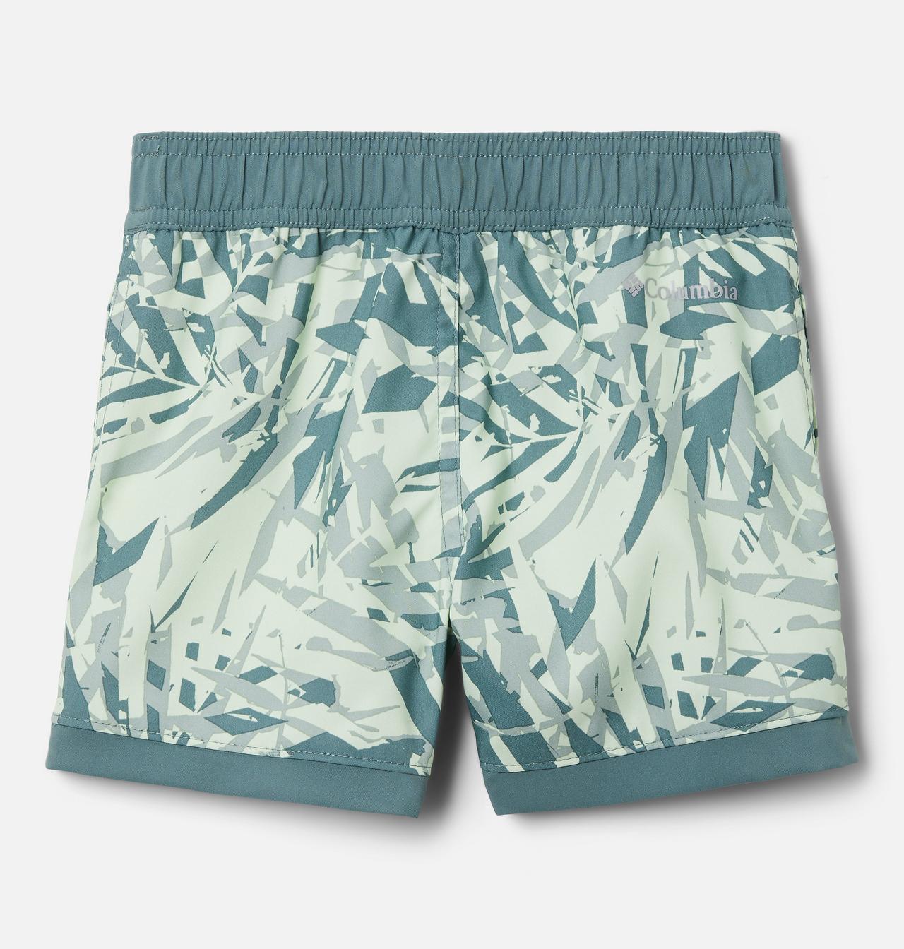 Boys' Toddler Sandy Shores™ Board Shorts 2