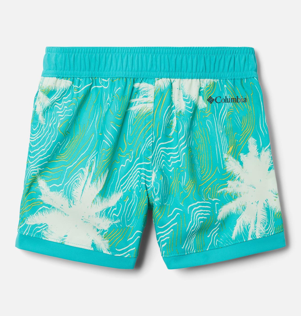 Boys' Toddler Sandy Shores™ Board Shorts 2