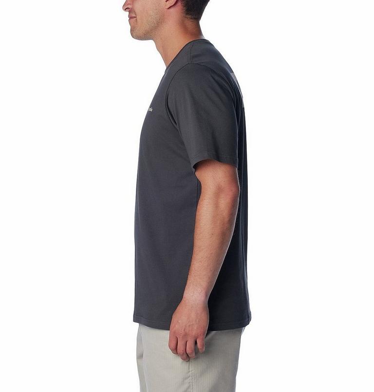 Men's North Cascades T-Shirt, Color: Shark, CSC Box Logo, image 3