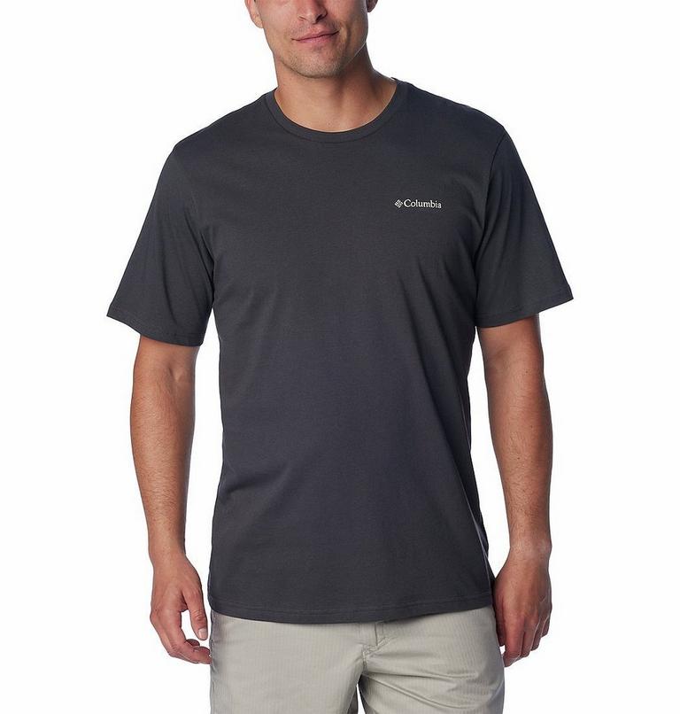 Men's North Cascades T-Shirt, Color: Shark, CSC Box Logo, image 2