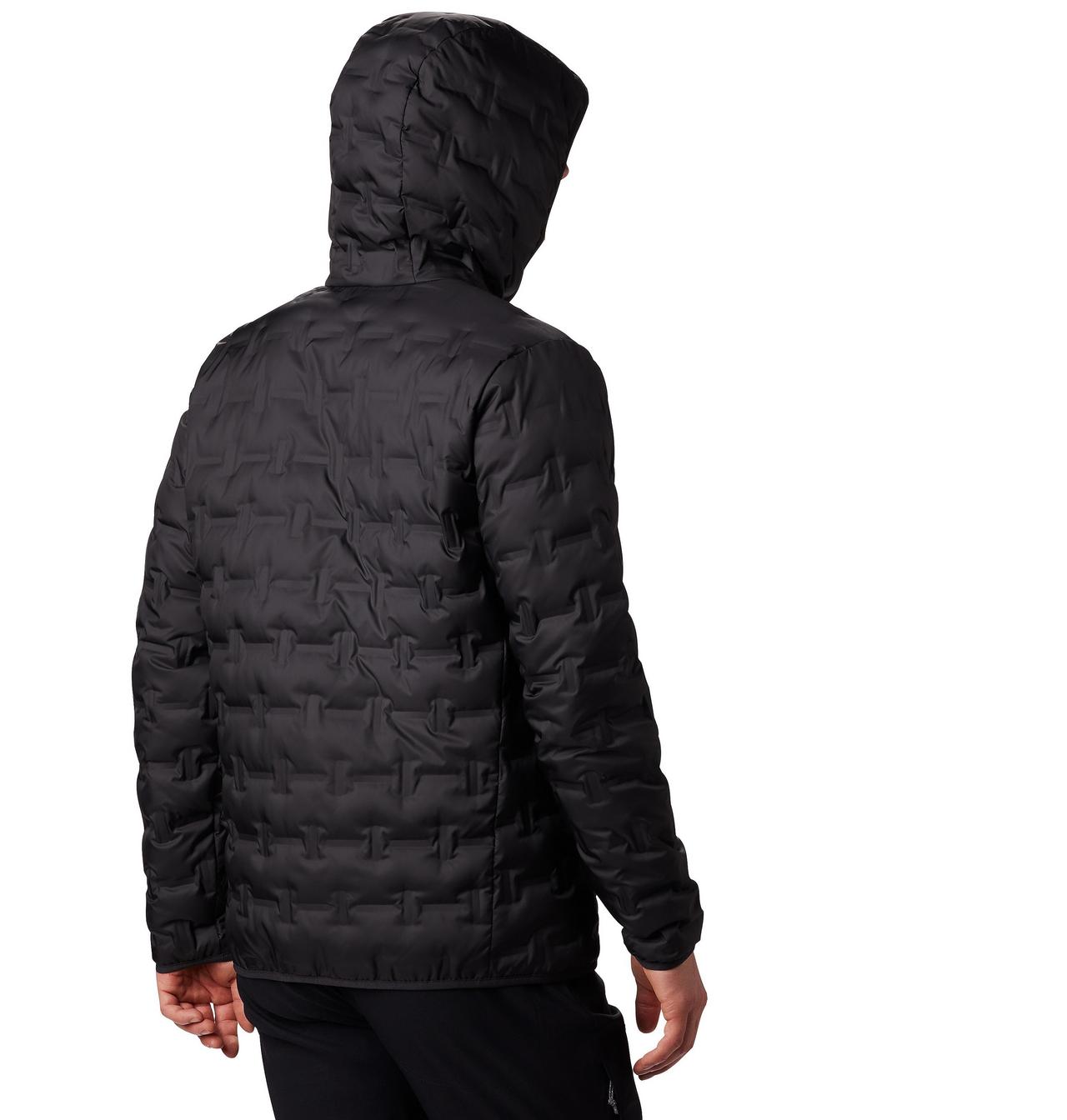 Men's Delta Ridge™ Down Hooded Jacket 2
