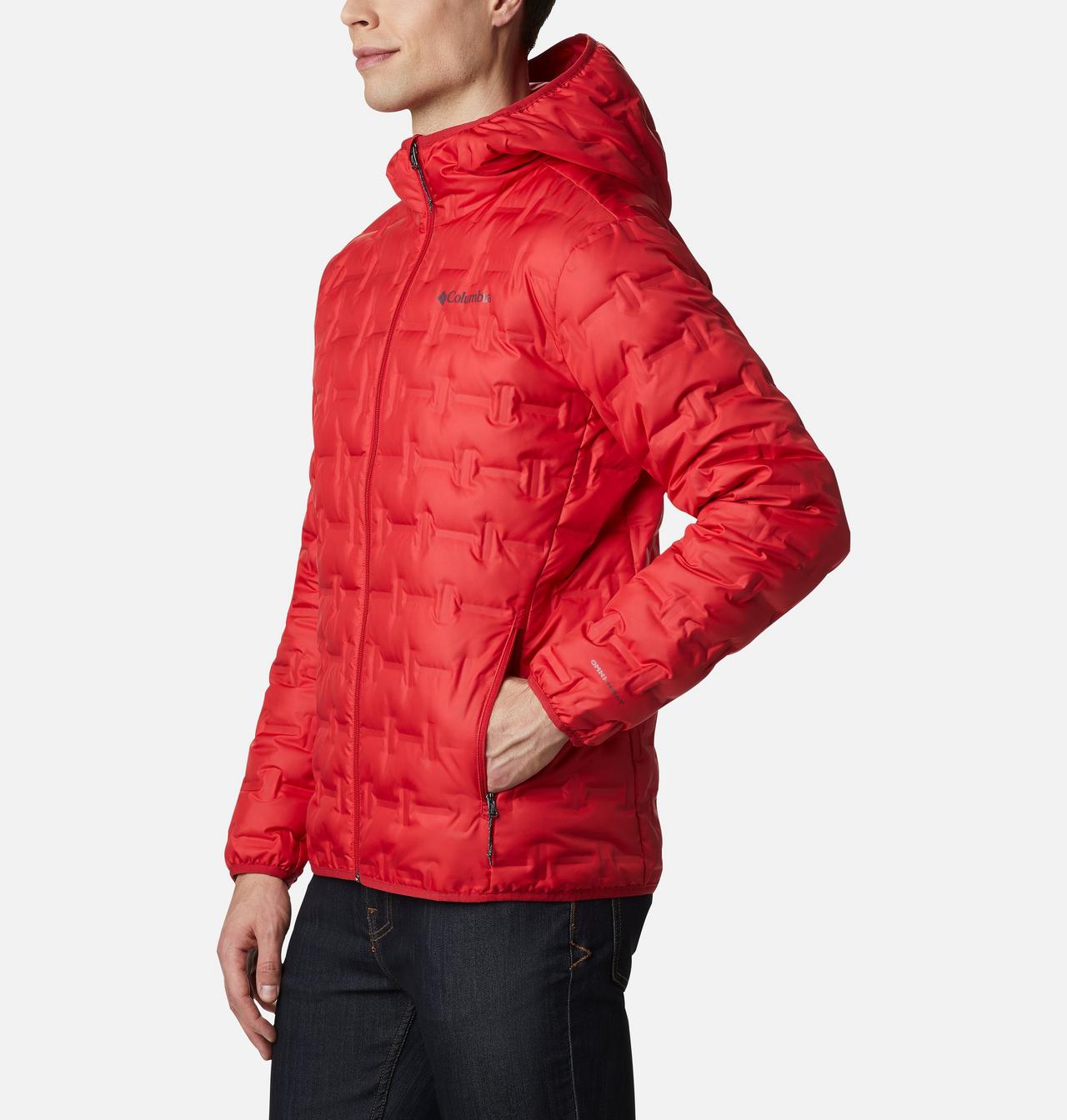 Men's Delta Ridge™ Down Hooded Jacket 3