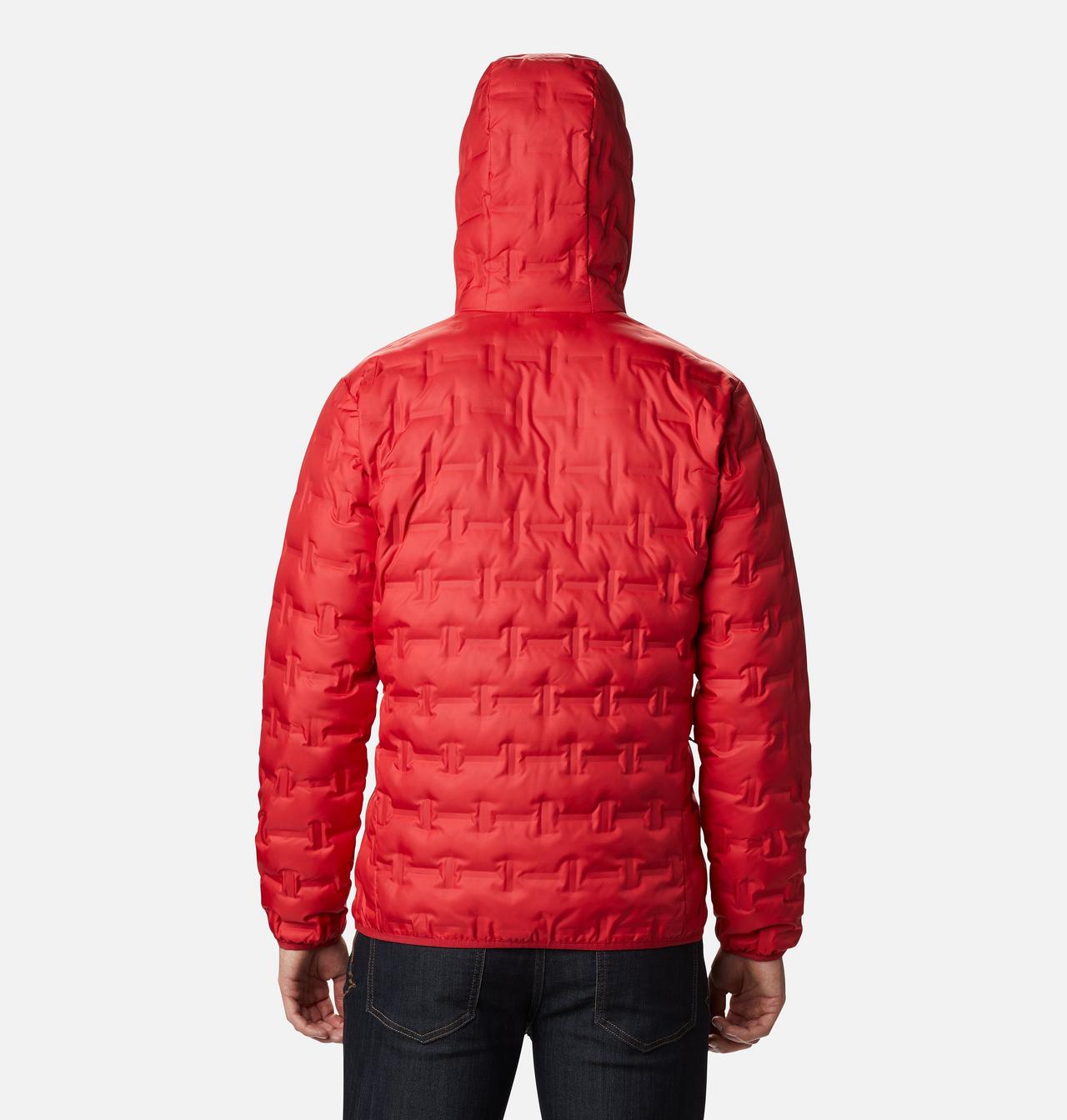 Men's Delta Ridge™ Down Hooded Jacket 2