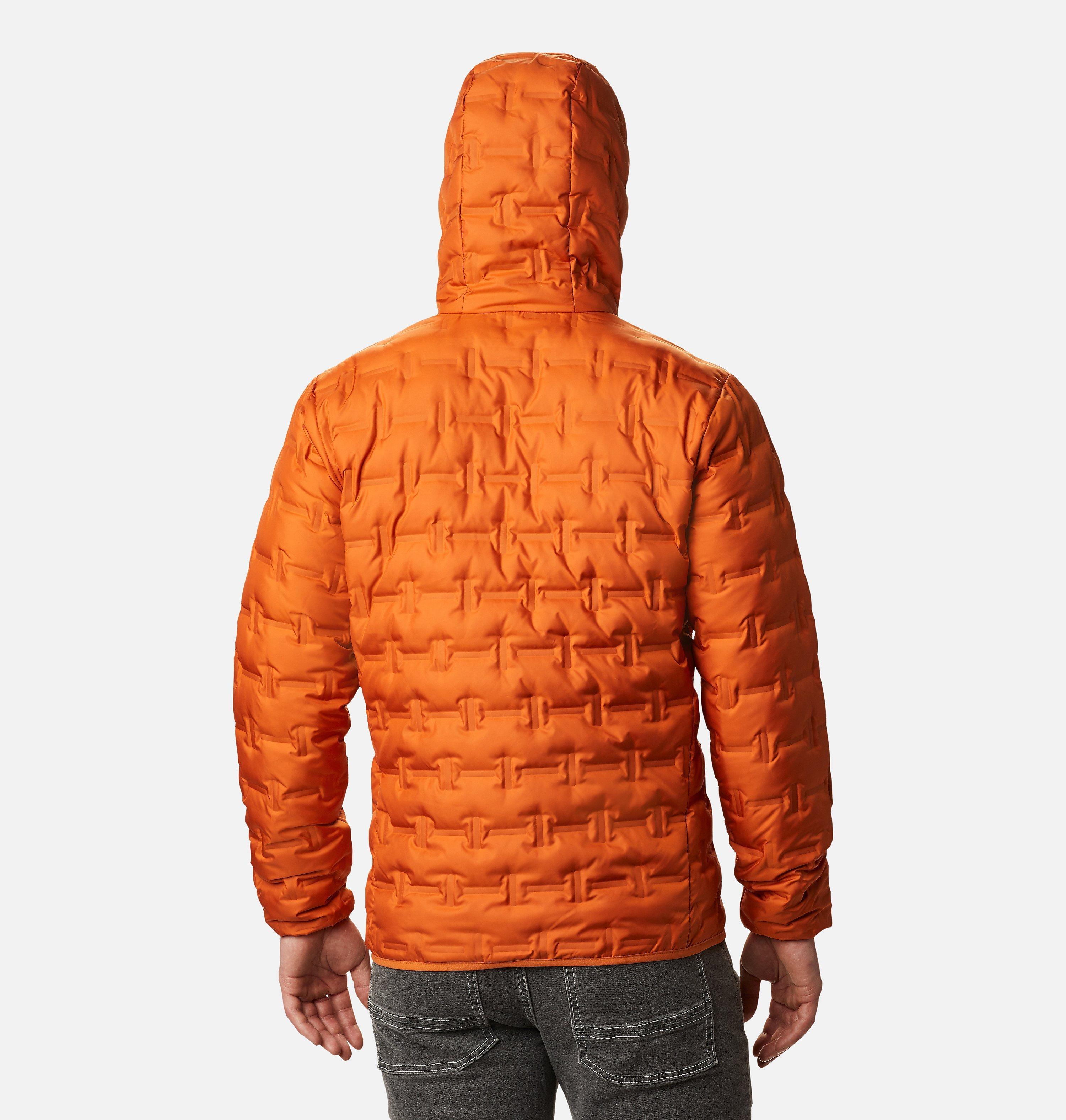 Men's Delta Ridge™ Down Hooded Jacket 2