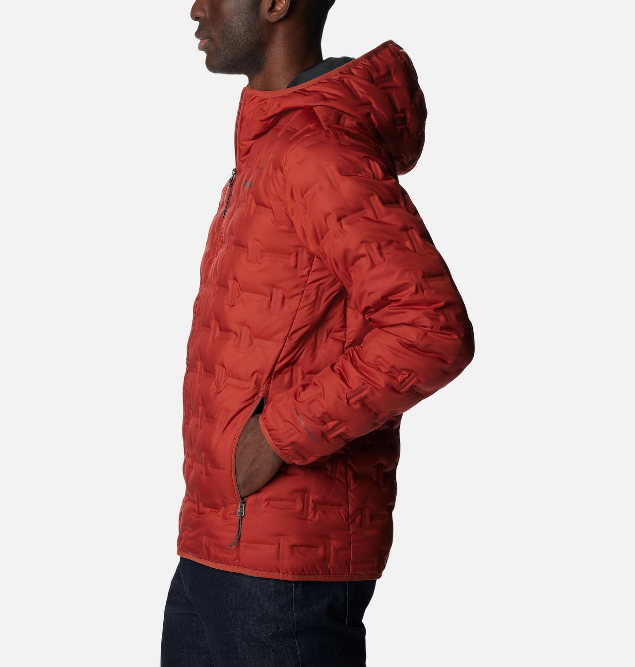 Men's Delta Ridge™ Down Hooded Jacket 3