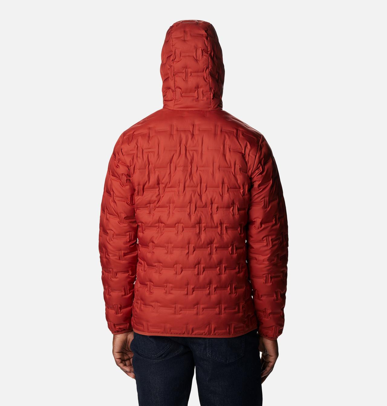 Men's Delta Ridge™ Down Hooded Jacket 2