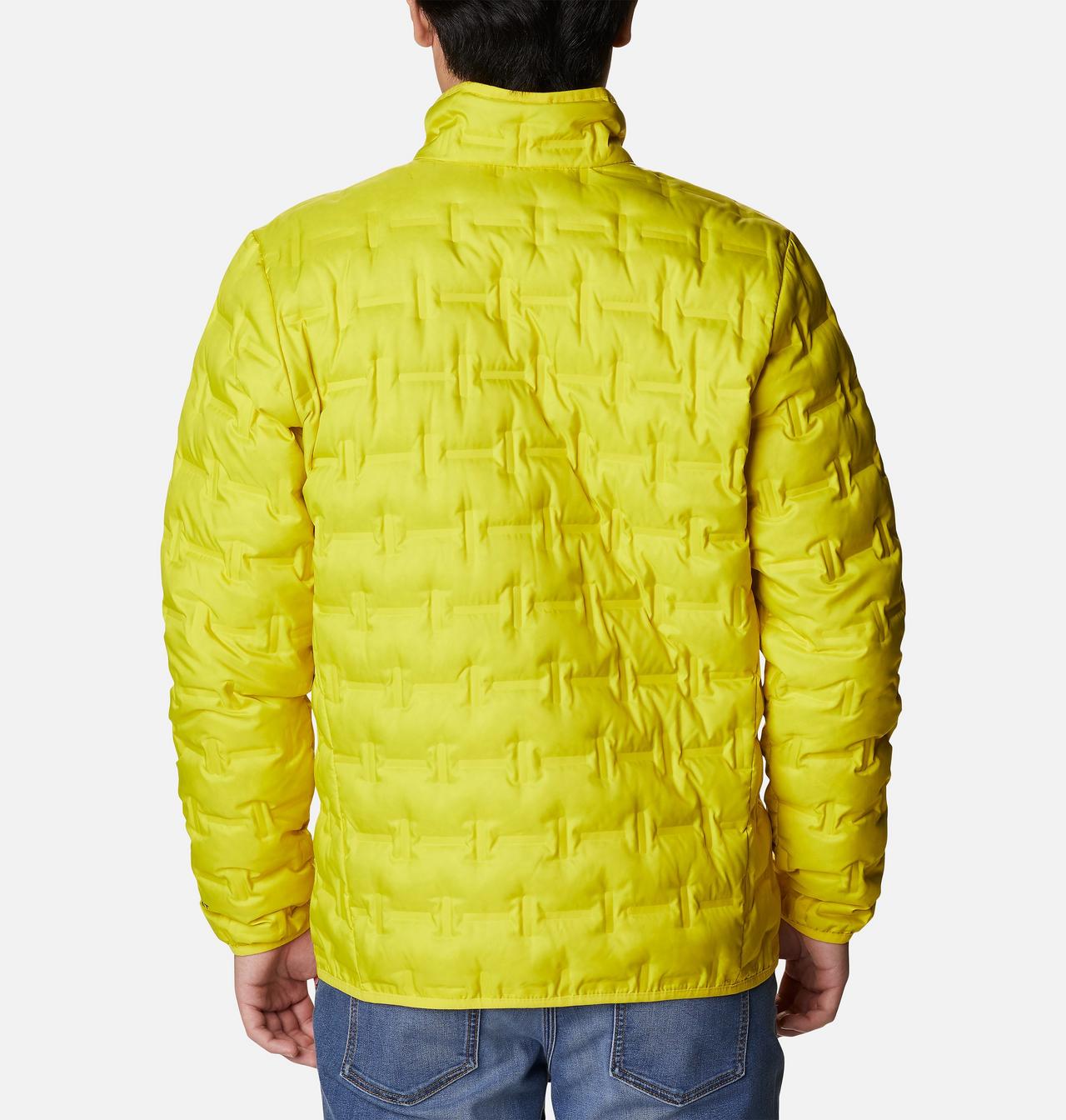 Men's Delta Ridge Down Jacket 2