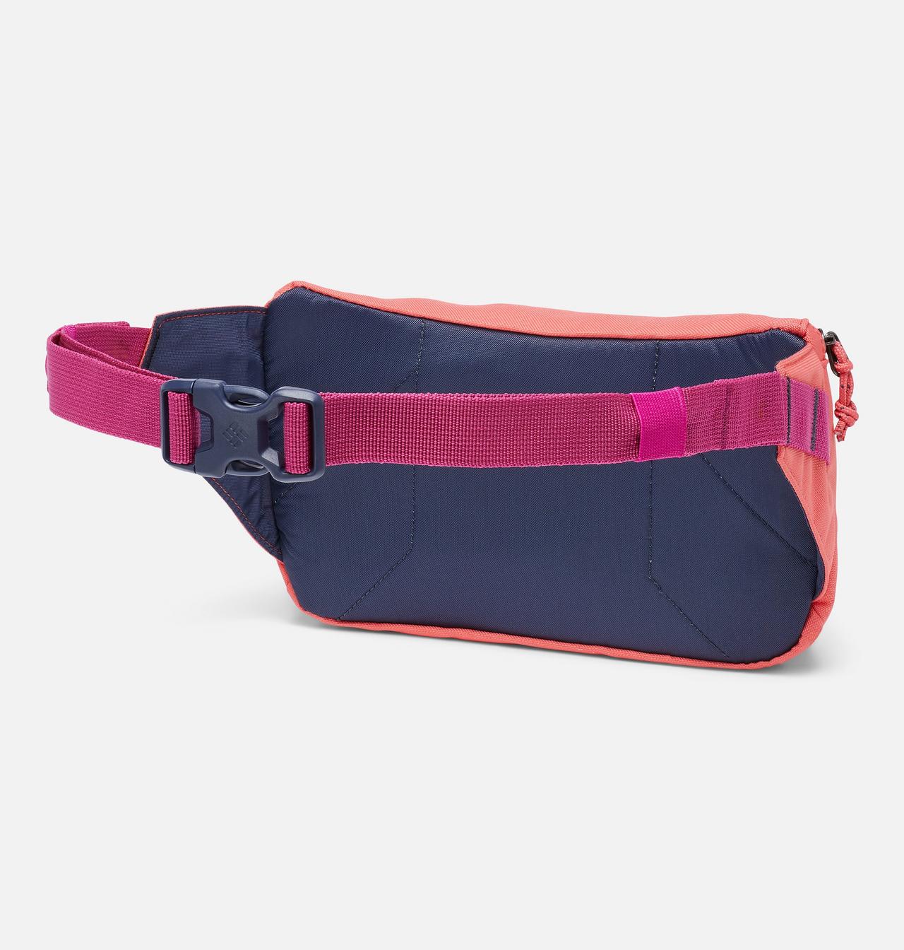 Zigzag™ 1L Hip Pack 2