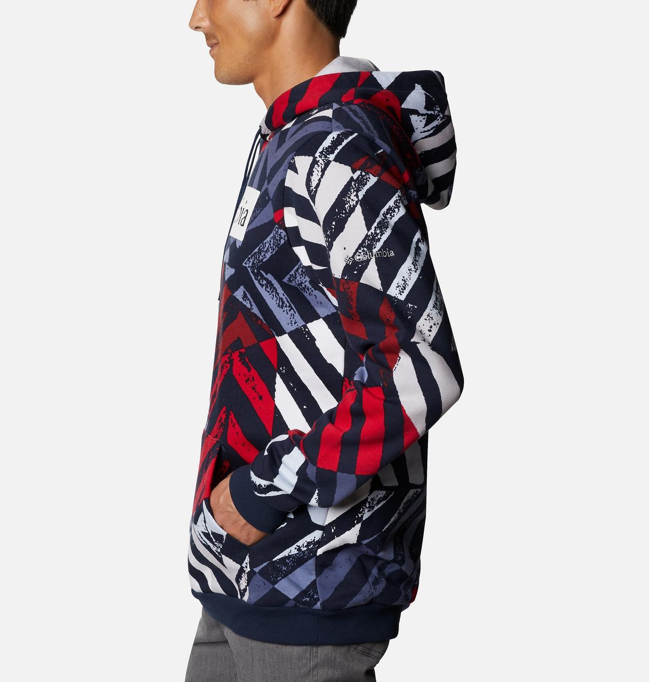 Chandail à capuchon imprimé Columbia Logo™ pour homme 3