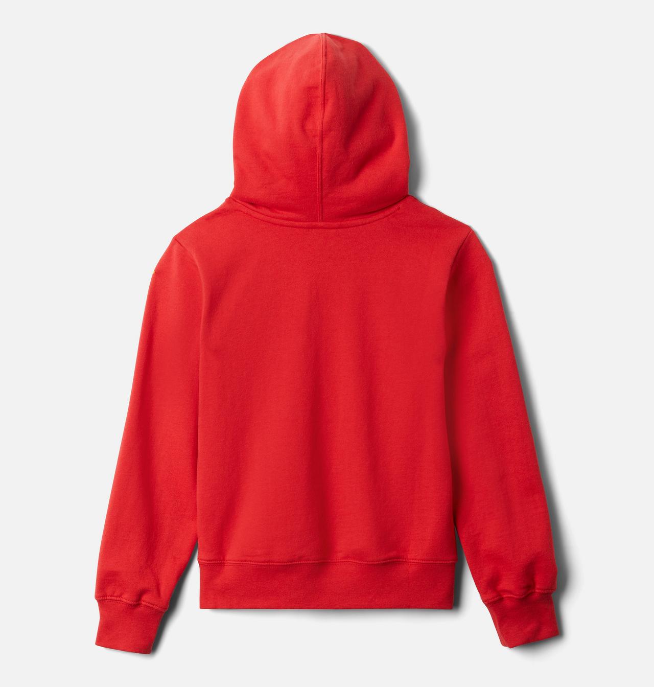 Boys' PFG™ Graphic Hoodie 2