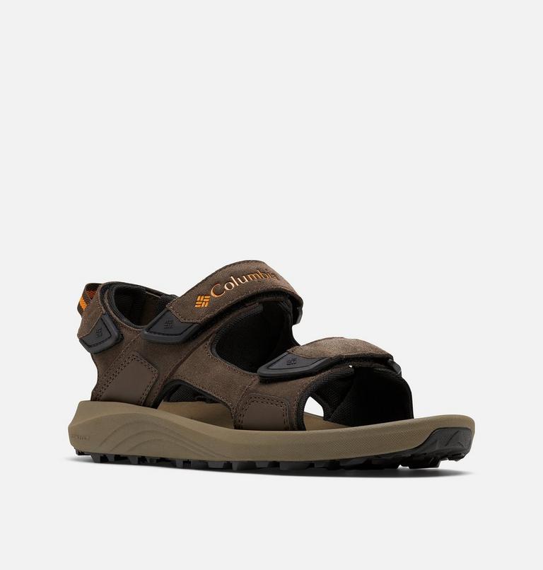 Men’s Trailstorm Hiker 3 Strap Sandal, Color: Cordovan, Gold Amber, image 2