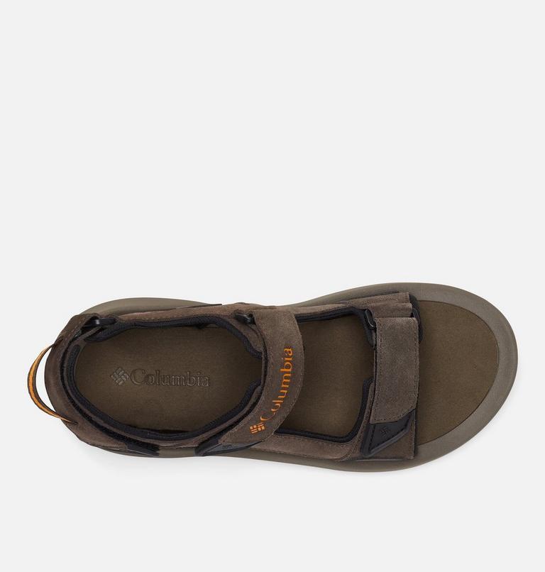 Men’s Trailstorm Hiker 3 Strap Sandal, Color: Cordovan, Gold Amber, image 3