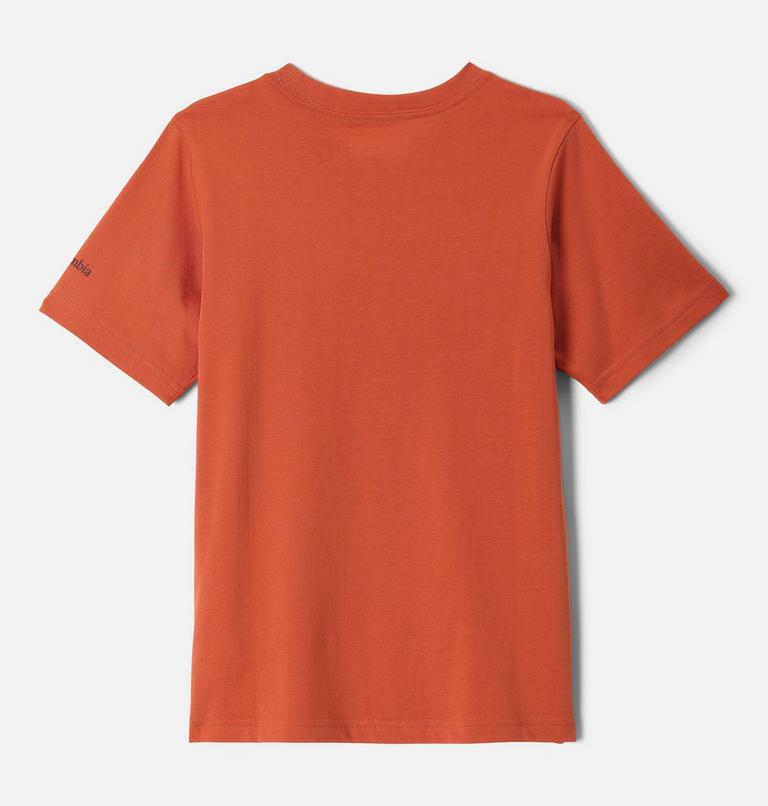 Boys’ Valley Creek Graphic Casual Cotton T-Shirt, Color: Tuscan, Hike Guide, image 2