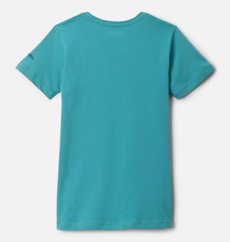 Mission Lake Short Sleeve Graphic Shirt, Color: Teal, Foxy Swirl, image 2