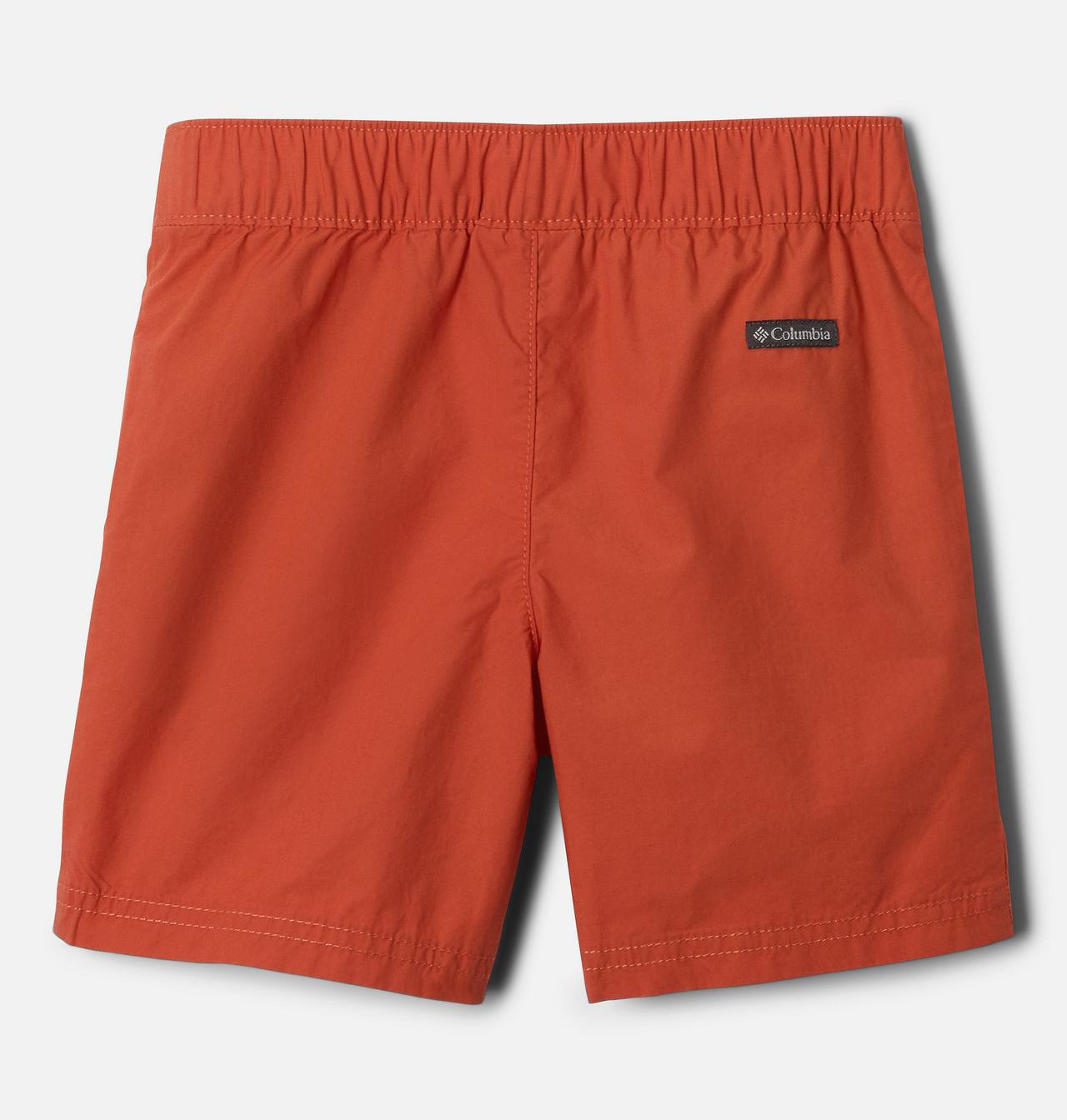 Boys' Toddler Washed Out™ Shorts 2