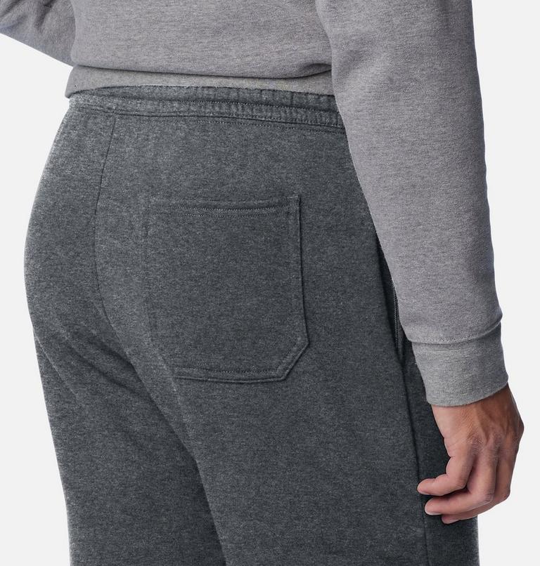 Men's Columbia Trek Fleece Shorts, Color: Charcoal Heather, Black Vertical Logo, image 5