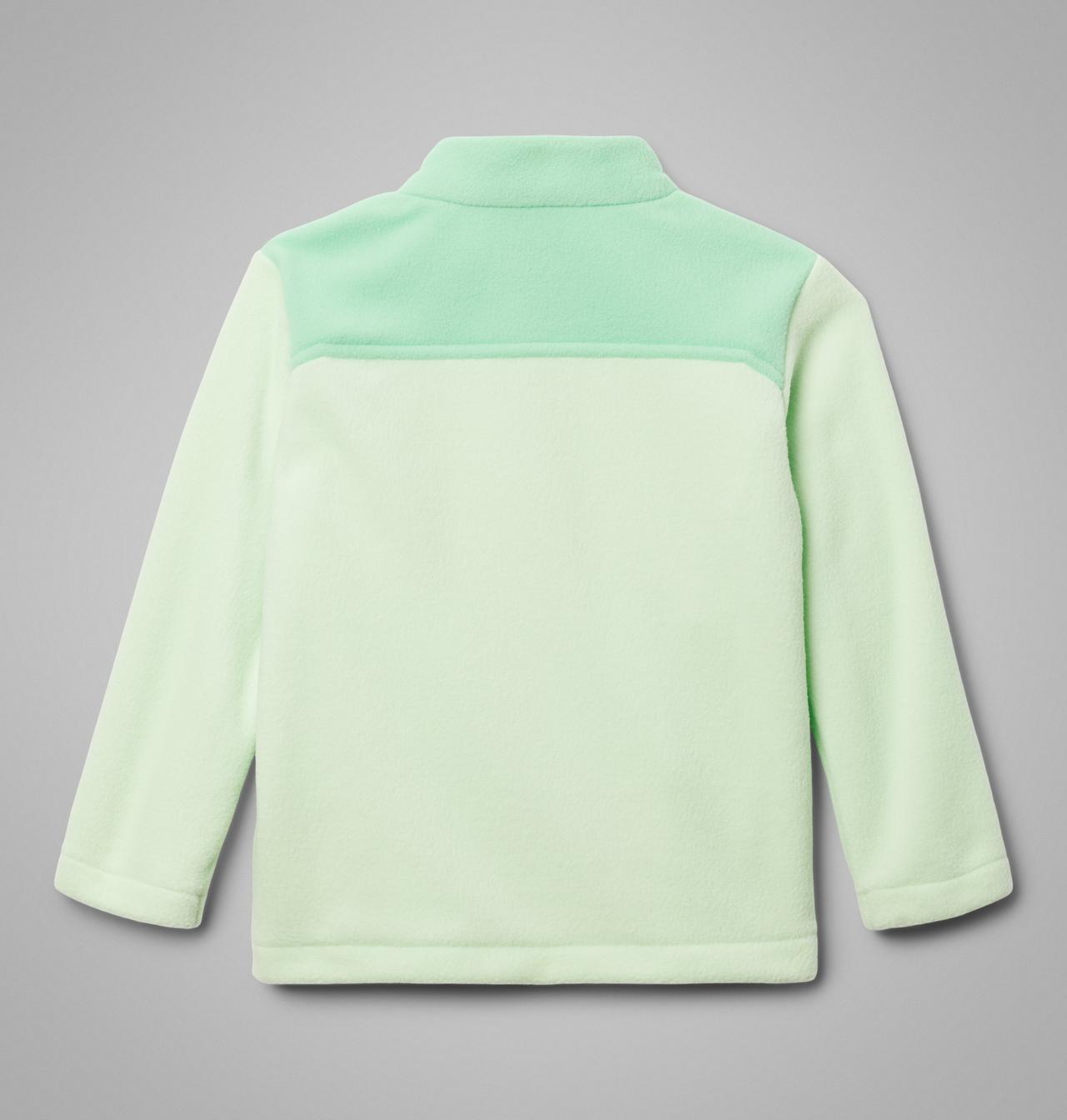 Girls' Toddler Castle Dale™ Full Zip Fleece Jacket 2