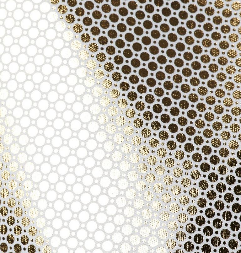 Women's Canyon Meadows Softshell Hooded Walking Jacket, Color: Cirrus Grey, image 6